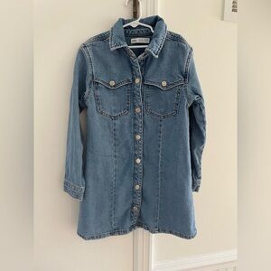 Zara Blue Denim Dress